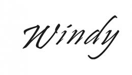 logo_windy
